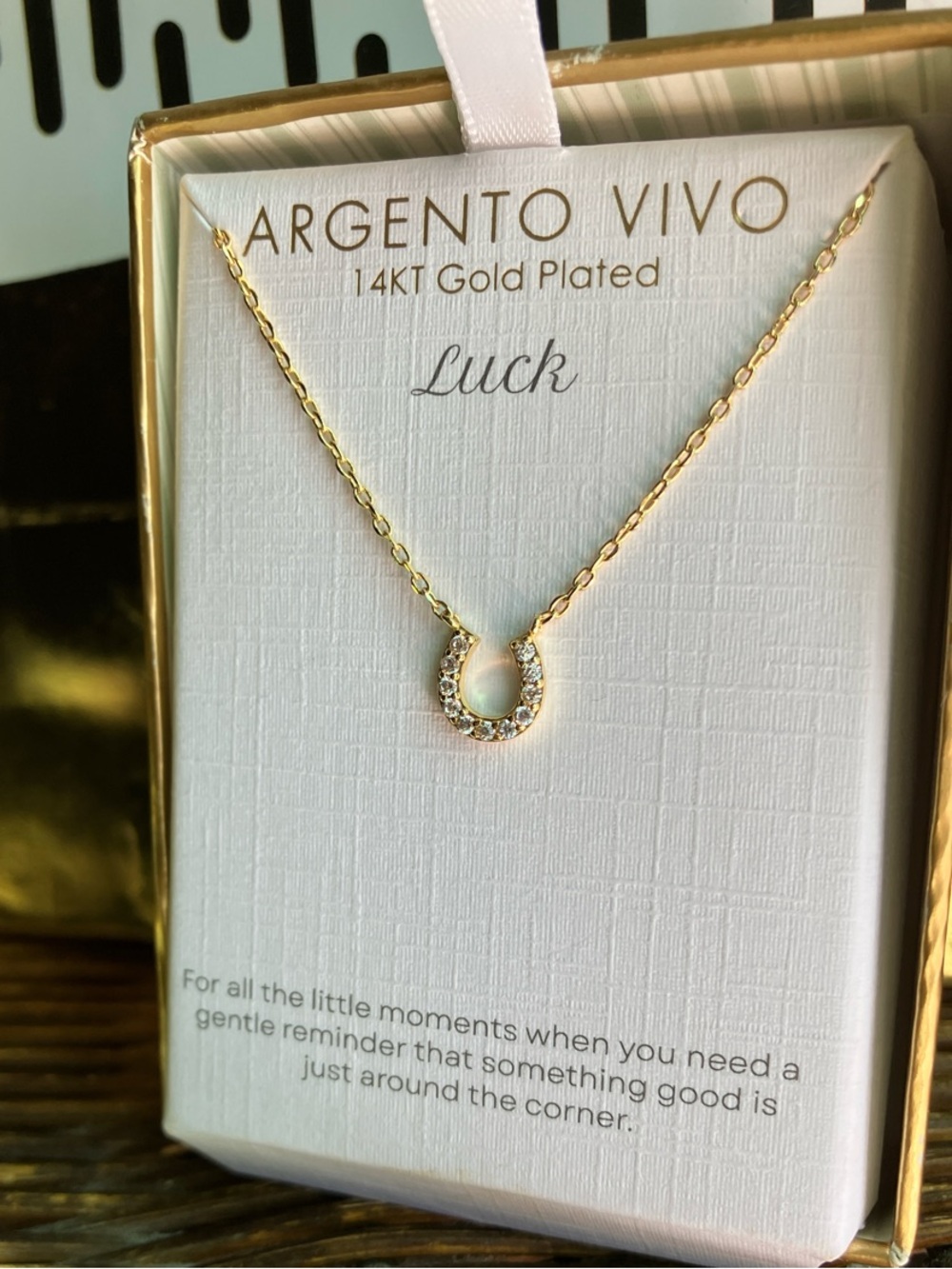 Argento Vivo Gold Plated Horseshoe Necklace & FREE Chic EARRINGS! ! !